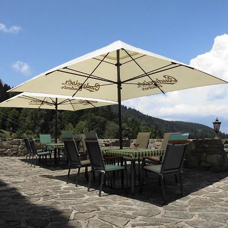 Hotel Studenec Rožmberk nad Vltavou Kültér fotó